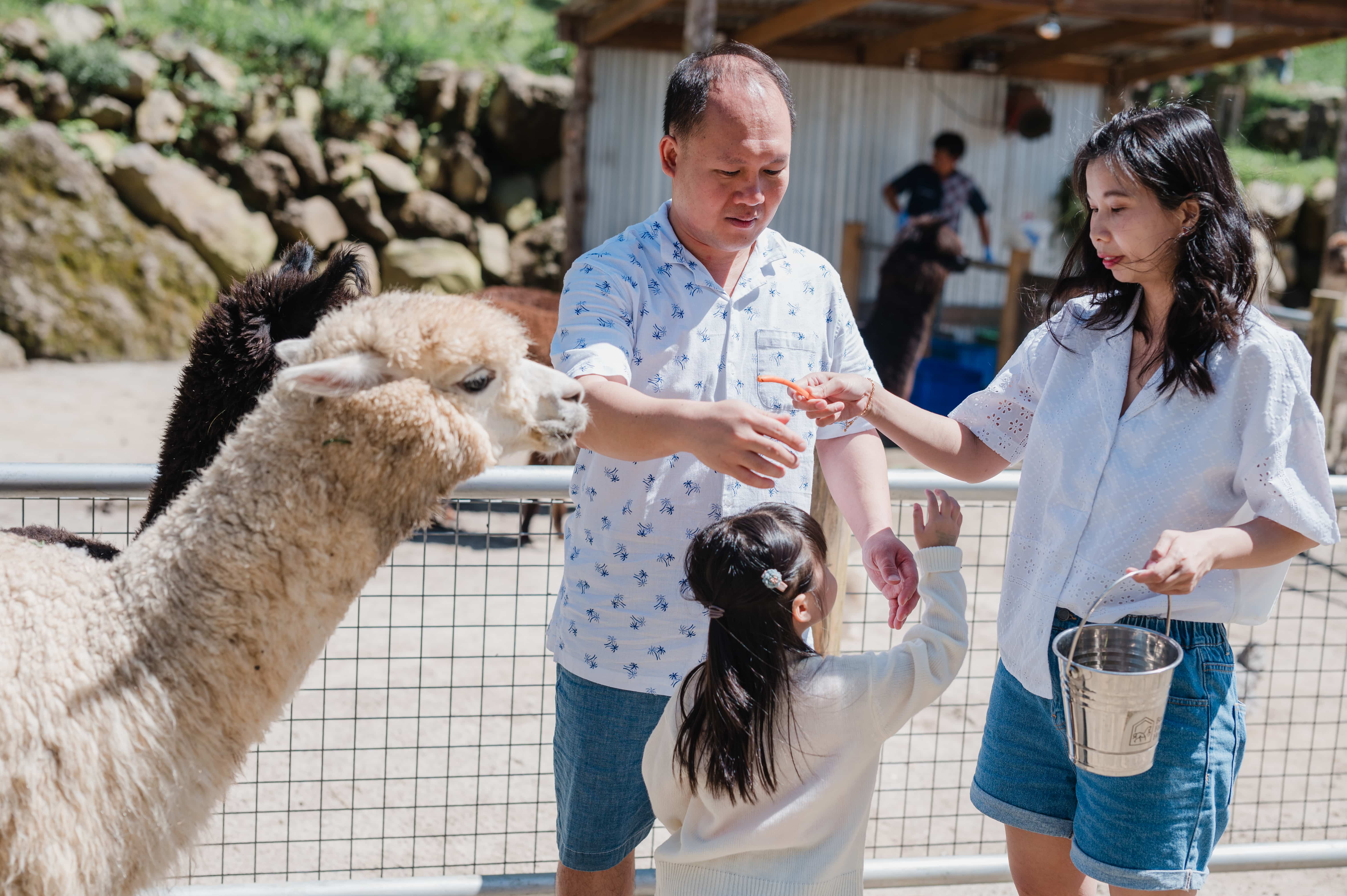 picture 2